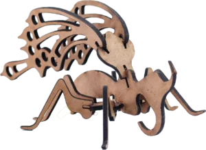 mariposa